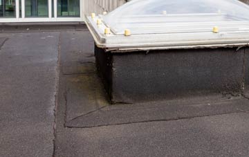 disadvantages of Brampton Bryan flat roofs