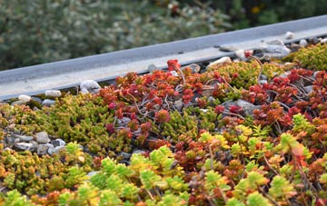 the cost of Brampton Bryan green roof installation