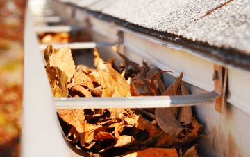 Brampton Bryan gutter cleaning companies