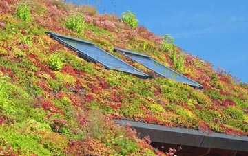 Brampton Bryan living roof systems
