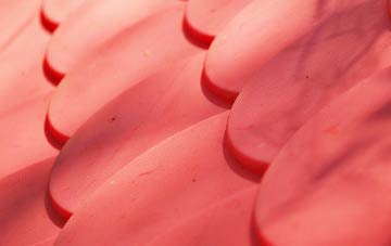 Brampton Bryan plastic roof costs