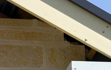 soffit repair Brampton Bryan